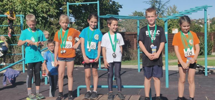 Apa-fia, és kettő bronzérem.